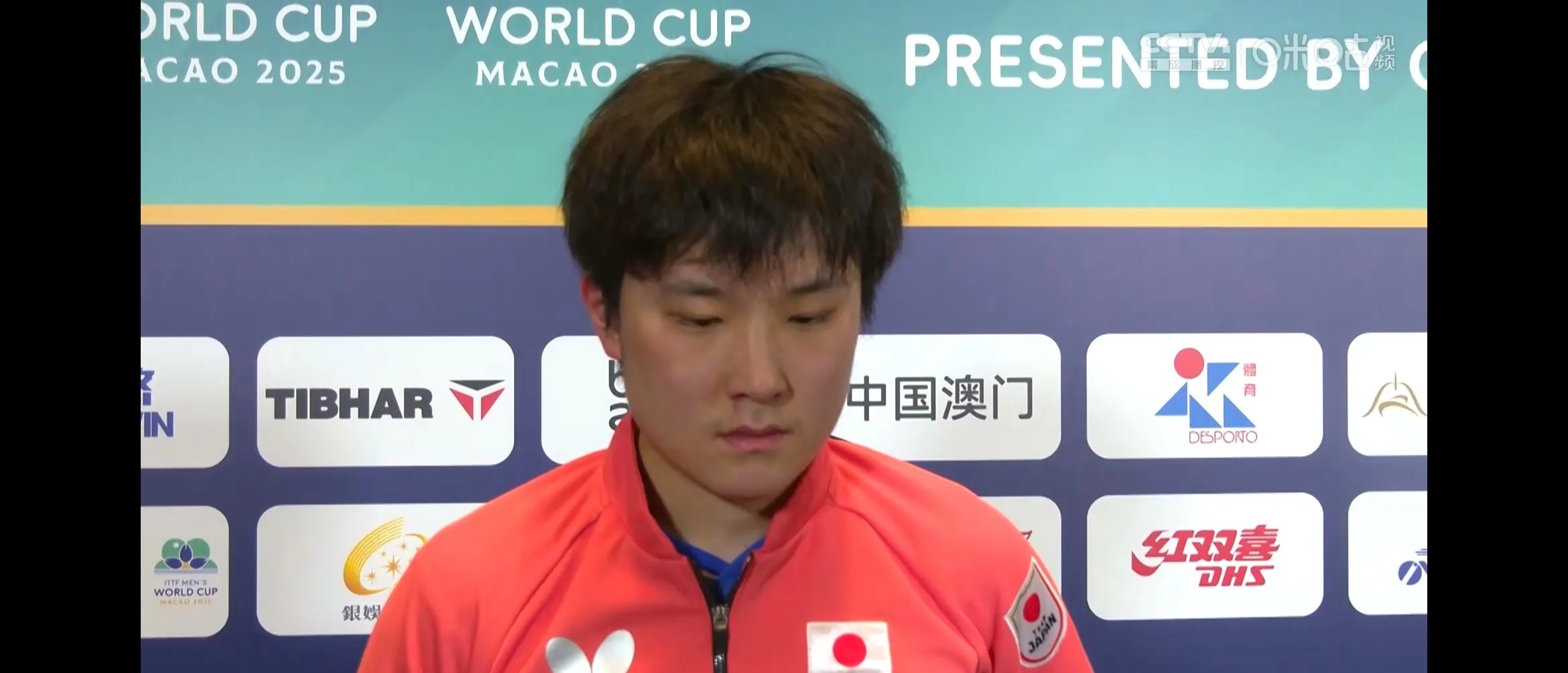 包含日本乒乓球队爆冷比利时乒乓球队，张本智和制霸全场的词条