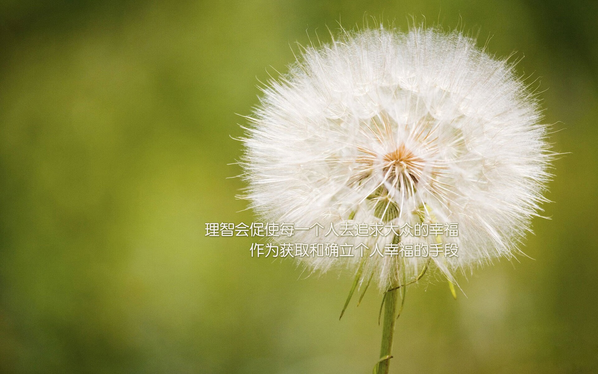 双重革命，葡萄牙掀翻阿森纳的足球哲学，与卡瓦哈尔压力下的完美炼金术